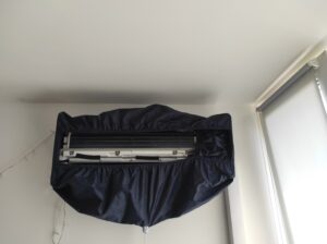 IMG_20230527_113932